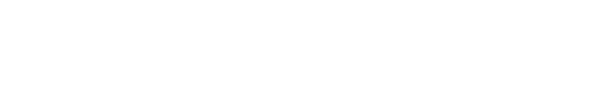 anubag.com